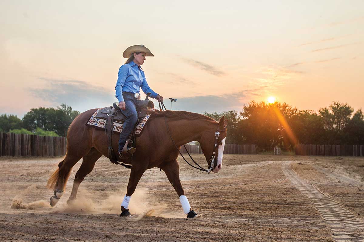 horse trailer financing