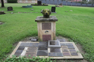 pet cemetery in Brisbane