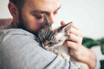 Brisbane pet farewell
